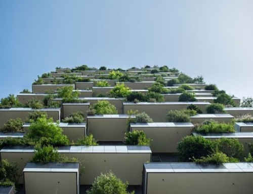 Οικοδομώντας ένα βιώσιμο και πράσινο μέλλον με τη χρήση των προτύπων